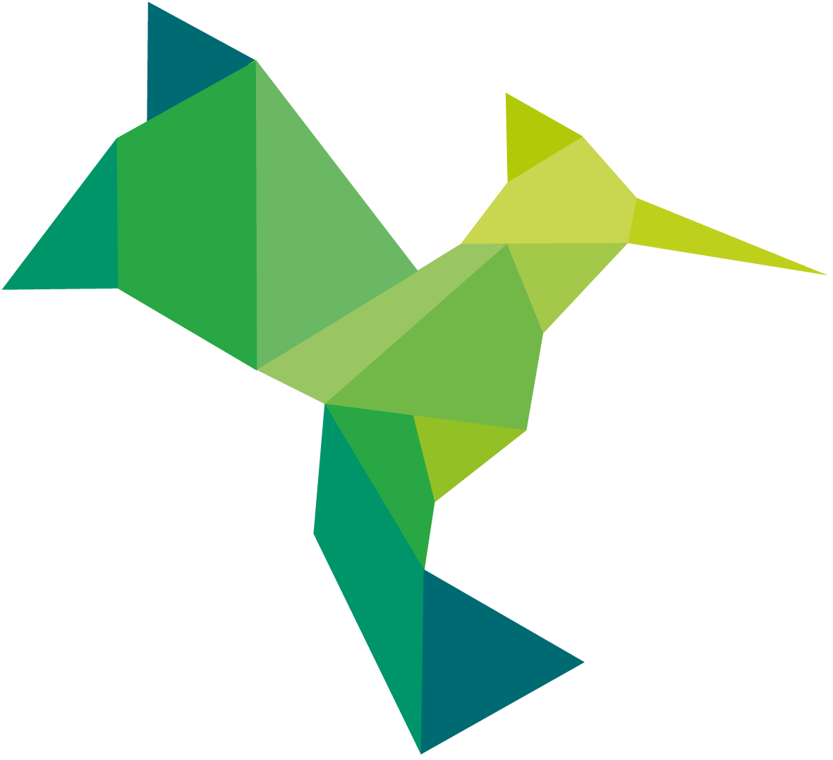 IMG_logo